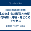 【2026】金川桜並木の桜｜開花時期・見頃・見どころ・アクセス
