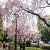 雨の曙橋