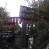 神社-179-茶ノ木稲荷神社　2020/11/15