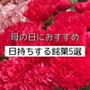 母の日におすすめ！日持ちする銘菓5選 | 田丸弥・山本道子の店・資生堂パーラー・空也・堂本製菓