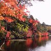 2011.白駒池の紅葉。。