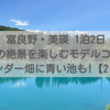札幌から富良野・美瑛 1泊2日モデルコース！ラベンダー畑に青い池、感動の絶景巡り!【2日目】