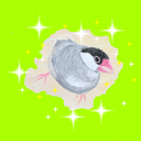 文鳥たちとの暮らし