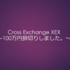 【不労所得の種類】仮想通貨編～XEXの損切り。背中押します。