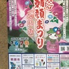 #入谷朝顔まつり