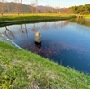 茶屋原池（福岡県筑前）