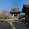 泉子育観音の枝垂れ桜～つくば市とその周辺の風景写真案内（１２５４） 