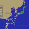 夜だるま台風情報