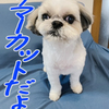 久しぶりにもっくん登場！！