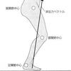 膝関節は膝以外を評価しましょう！
