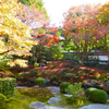 「御寺 泉涌寺」- 楊貴妃観音、そして御座所庭園の紅葉-【美人祈願の写真追記】