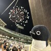 スタジアムで大花火大会だ(752)