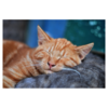 Duplicateで旋回運動の続き：初めてのSleep関数
