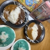 あいがけ高級レトルトカレーシリーズ ゆるキャン△コラボ 青い富士山カレー  ＆ ジーニー アラジン カレー