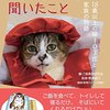 ご長寿猫に聞いたこと。