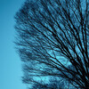 日々の写真 2025 vol.1／1〜2月のお散歩写真