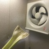 換気扇の羽は野菜を切断できるのか？
