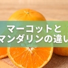 マーコットとマンダリンの違いを3分で解説｜どっちが甘い？旬・値段・選び方まで