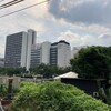宇治金時