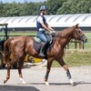 レベンディス、ペースアップ⤴️