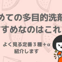 洗剤を一本化したい ミニマリストオススメのコスパ最強3円の液体石けん ていない ていねいじゃない暮らしのブログ Powered By ライブドアブログ