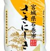 正直さんぽ 錦糸町 しゃきしゃき、ササニシキ、駄菓子、天ぷら はせ川、で3周年で落ち着きすぎ