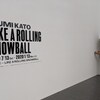 加藤泉-LIKE A ROLLING SNOWBALL展の思い出 会場:別館ハラミュージアム アーク