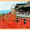 霜月　！ 紅葉がきれい！！