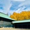 「湯島聖堂」とイチョウの木