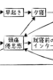 医者に寝落ちや移動中のスマートフォンを禁止された話