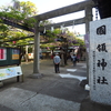 國領神社まで「千年乃藤」を見に行ってきた。