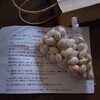 銀杏に取り組む