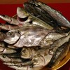 本日の漁港直送のお魚さんたち！ヽ(^。^)ノ