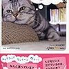 『猫カフェMoCHA』かわいい子猫と触れ合える！超おしゃれな猫カフェ「MoCHA」