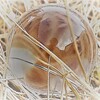 星の読み方