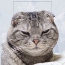 amagoのエンジニアブログ