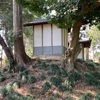 横見神社古墳  吉見町御所