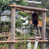「鯖江市西山動物園」 福井県鯖江市桜町