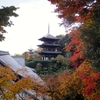 しだれもみじの美しい庭園　奈良・當麻寺西南院