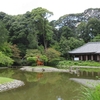 浄瑠璃寺で猫との共生について考える