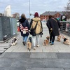 2026年2月18日🐾 今日のマヤ暦