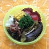 2015/07/14の弁当：作り置き野菜おかず弁当