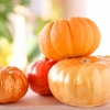 捨てるのはもったいない！栄養満点＆エコな「かぼちゃの種スナック」の作り方