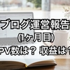 【PV数５万超え！？】はてなブログ初心者の１ヶ月目のPV数は？収益は？【ブログ運営報告】