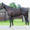 パーフェクトジョイの18、400kg台へ