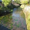 源兵衛川テレビ放映