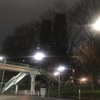 (紹介：施設)夜の新宿中央公園からの眺めを紹介するよ