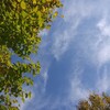 １年分の汗をかいたかも／コロナ感染記録④ 終