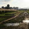 北海道大学