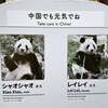 中国でも元気でね